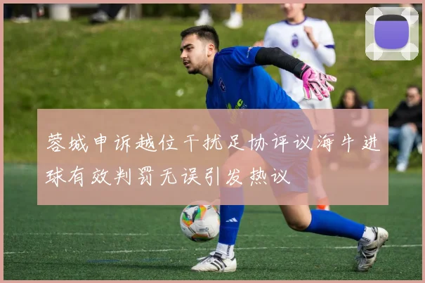 蓉城申诉越位干扰足协评议海牛进球有效判罚无误引发热议