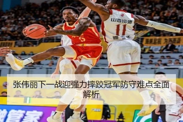 张伟丽下一战迎强力摔跤冠军防守难点全面解析（FuLian）